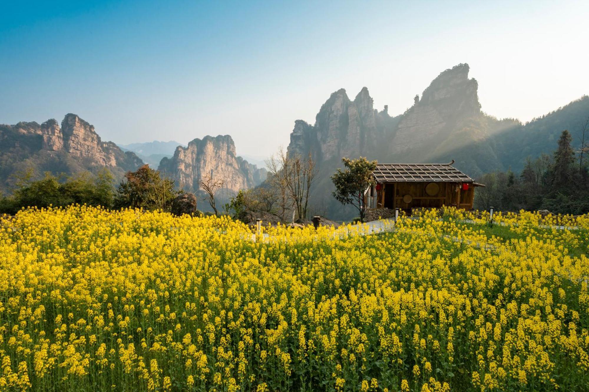 Celestial Vally Homestay